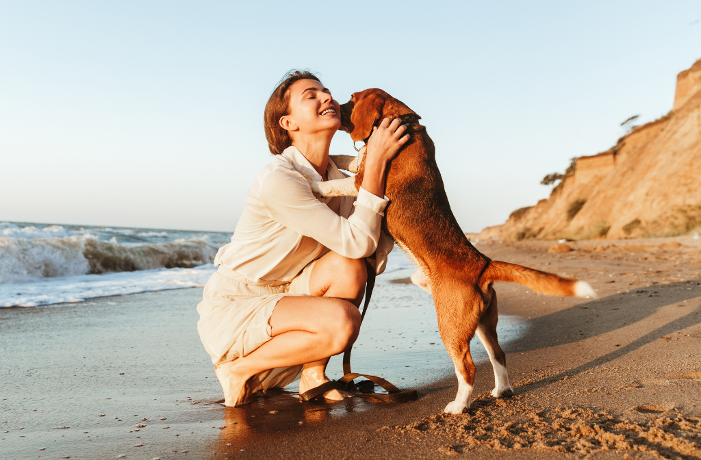 L'amour d'un chien