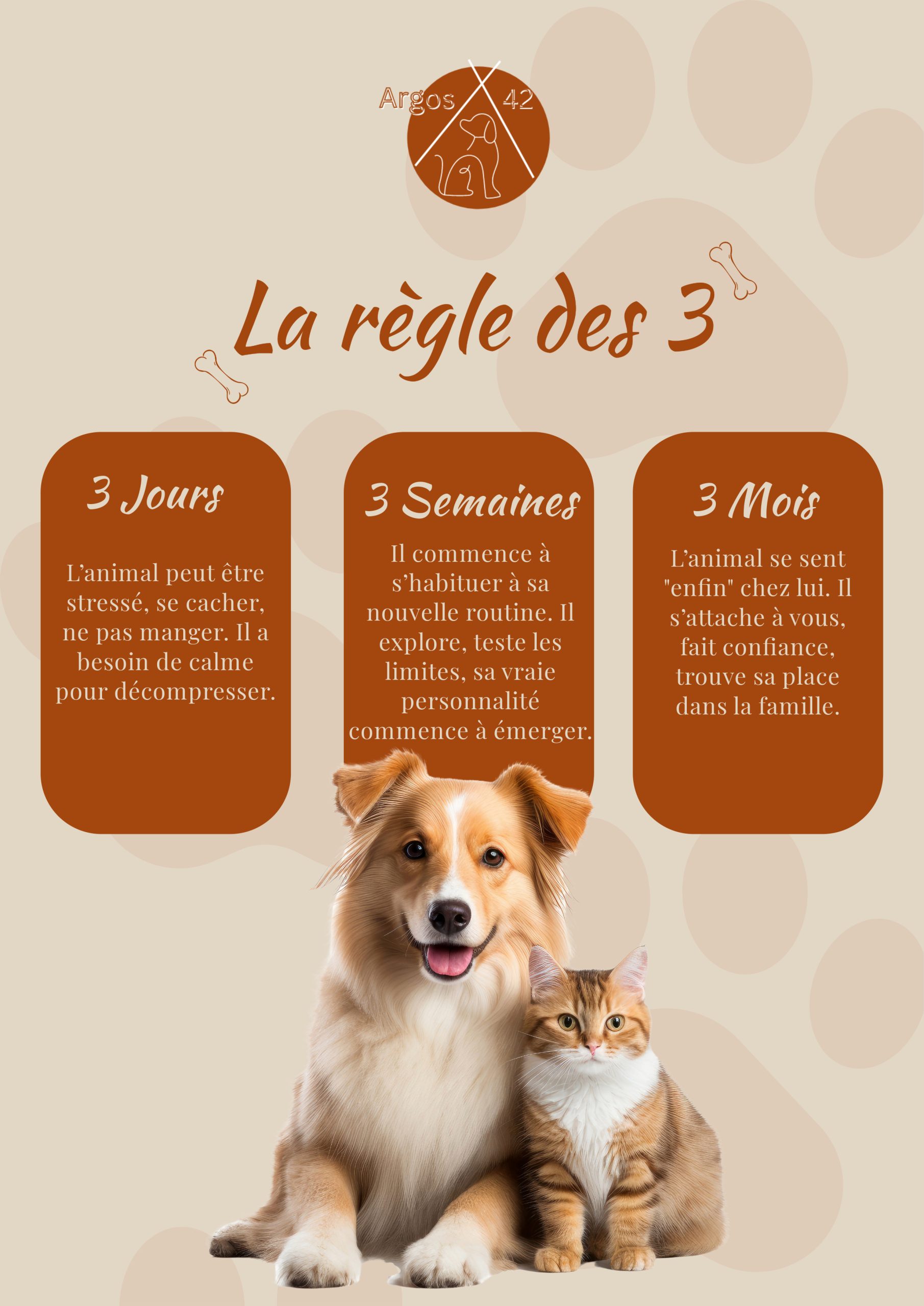 la règle des 3 pour l'adoption d'un animal
