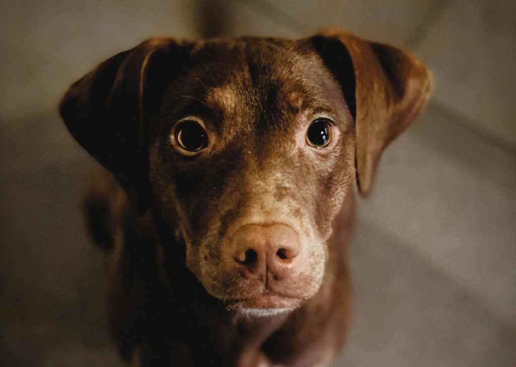 jennifer latuperisa andresen zROf4XFpXAE unsplash scaled e1769436120518