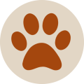 Favicon ARGOS 42
