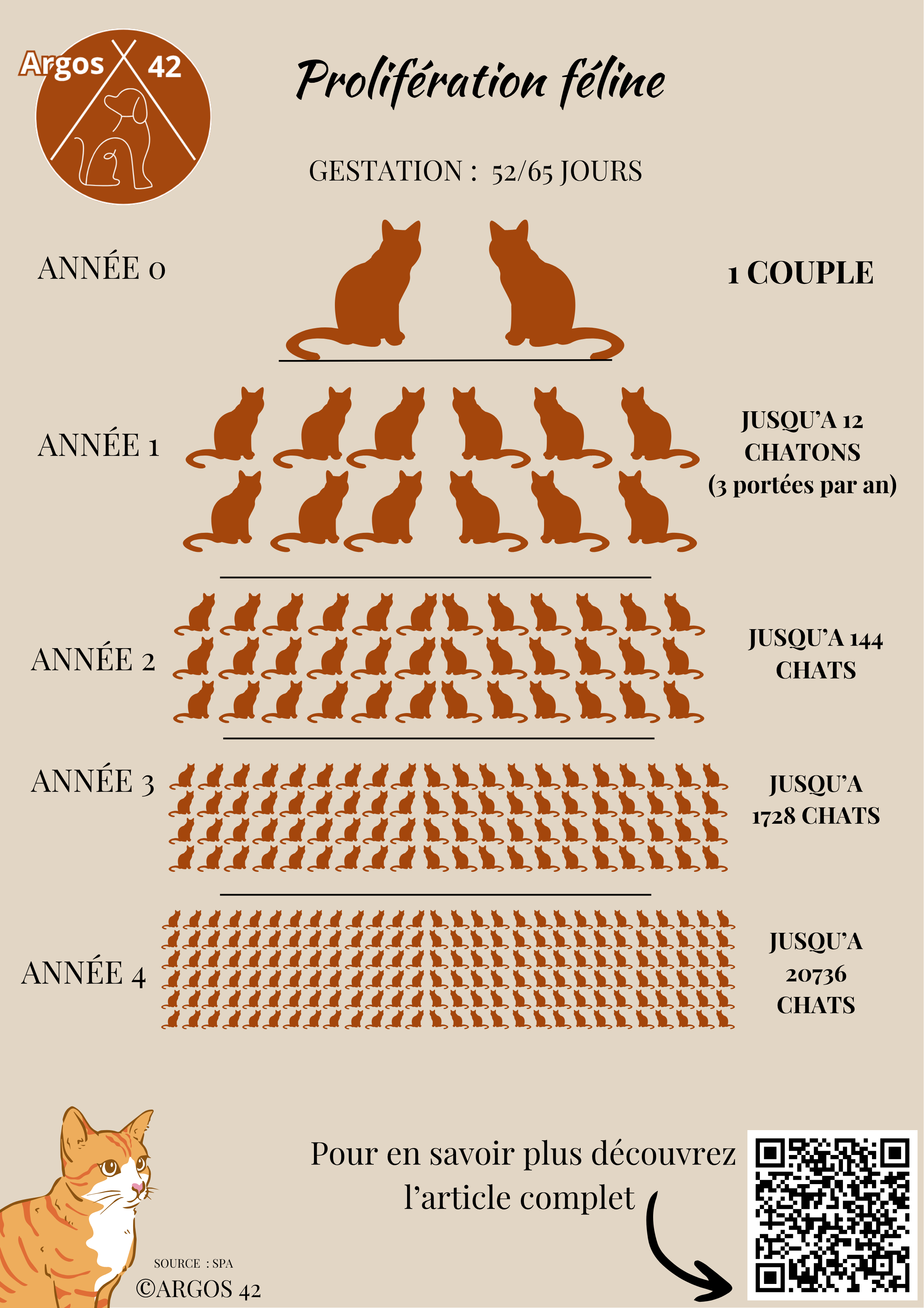 Infographie stérilisation des chats errants 