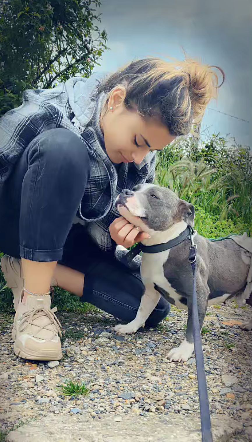 Affaire RIYA chienne maltraitée et Diane Gouhier