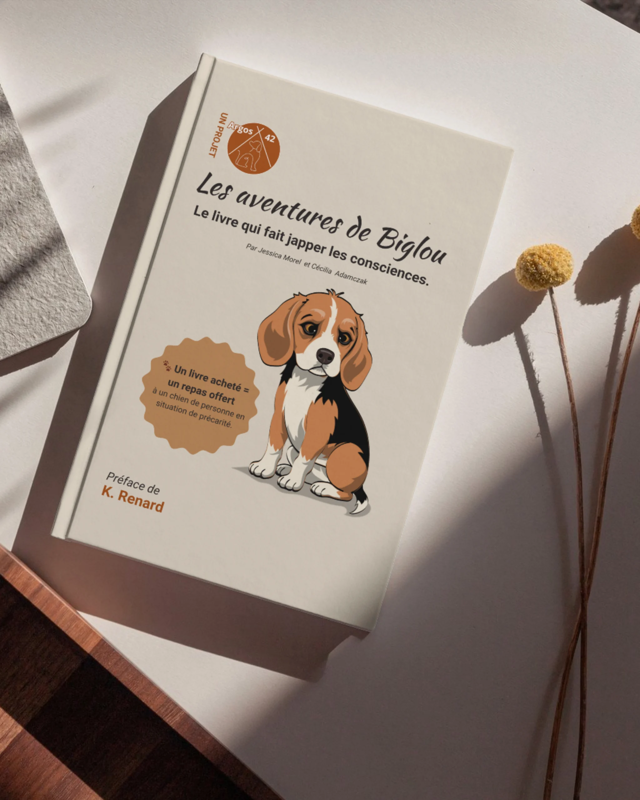 livre jeunesse protection animale les aventures de biglou
