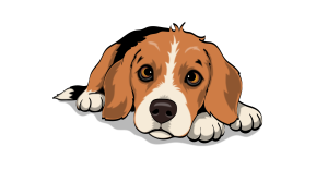 chien biglou couhé mignon