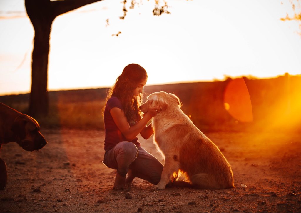 Maîtresse tenant son chien pour symboliser la protection animale