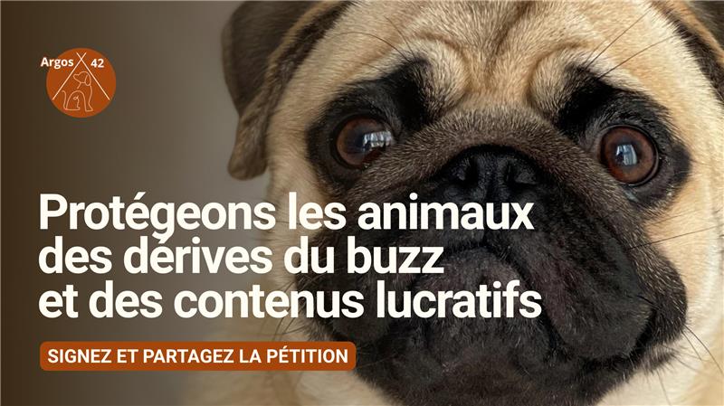 pétition sur le faux enlèvement du chien Albert