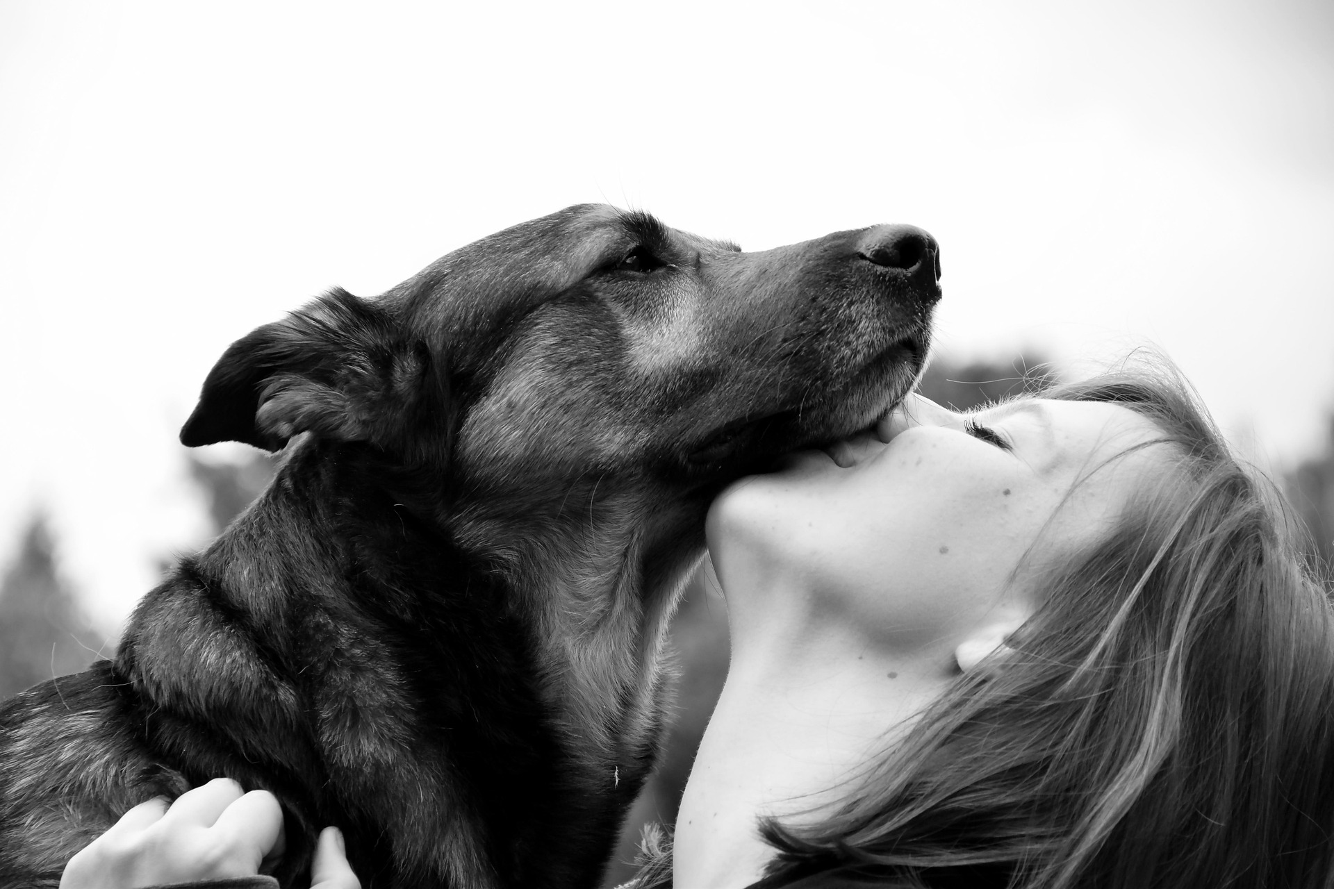 montrer son amour à son animal