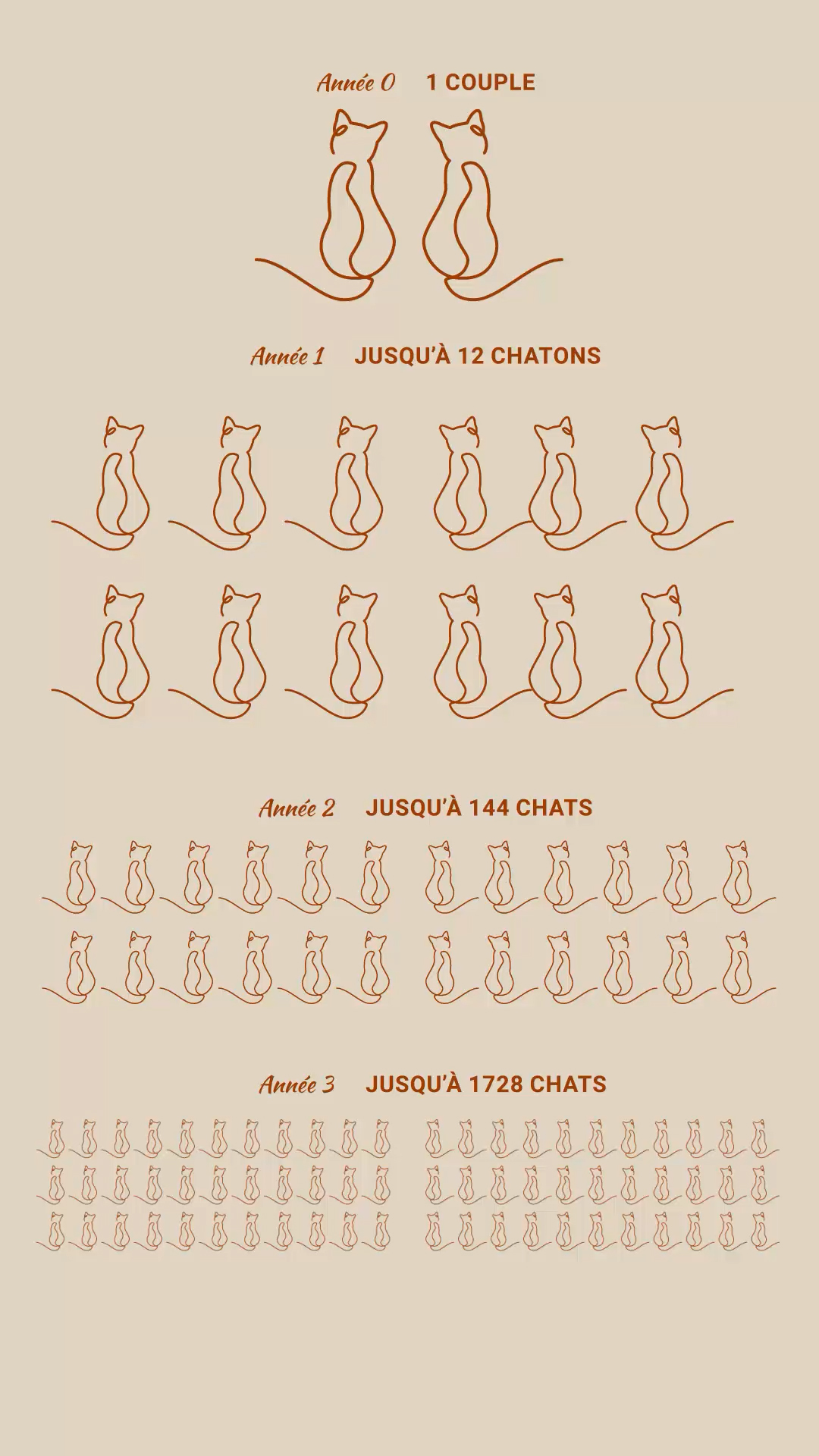 Infographie sur la portées des chats