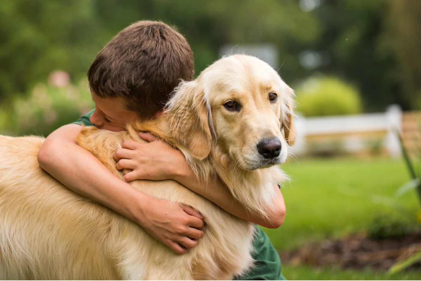 Comment expliquer l’abandon animal à un enfant ?
