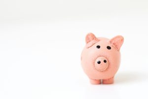 budget pour s'occuper d'un animal
