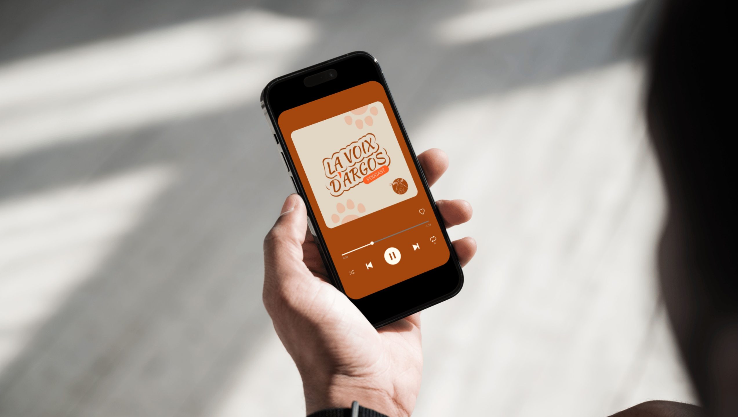 bilan 2025 d'une association de protection animale podcast argos 42