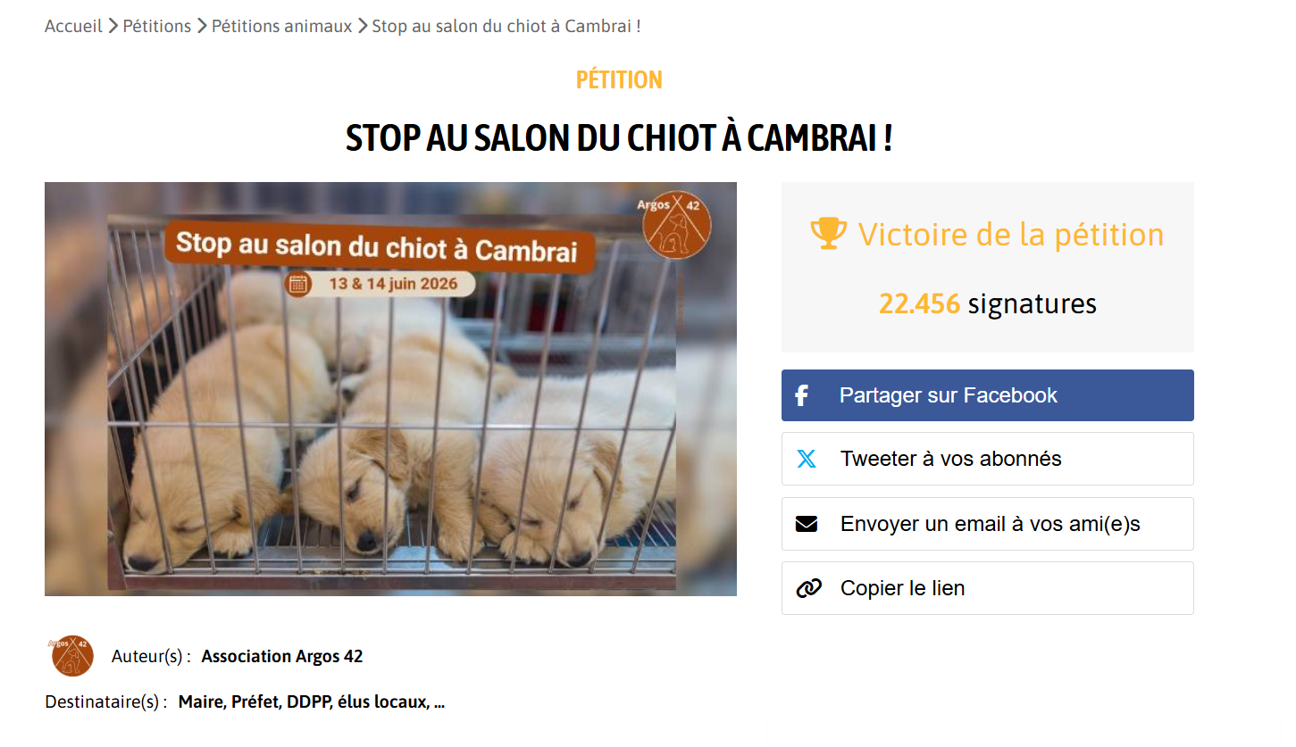 Cambrai confirme la fin de la mise à disposition de ses équipements pour les événements liés à la vente d’animaux 1 Victoire pour les animaux à Cambrai, plus de salon du chiot
