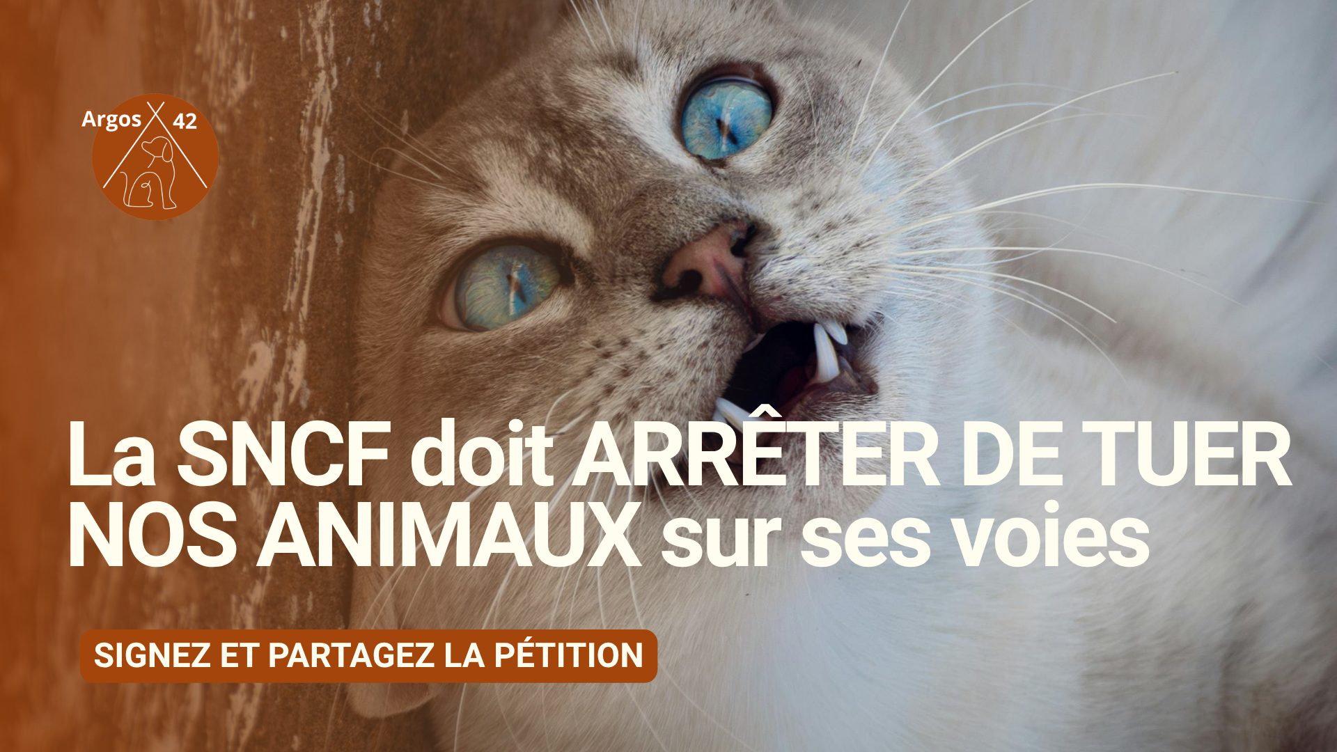 Pétition : pour que la SNCF protège les animaux