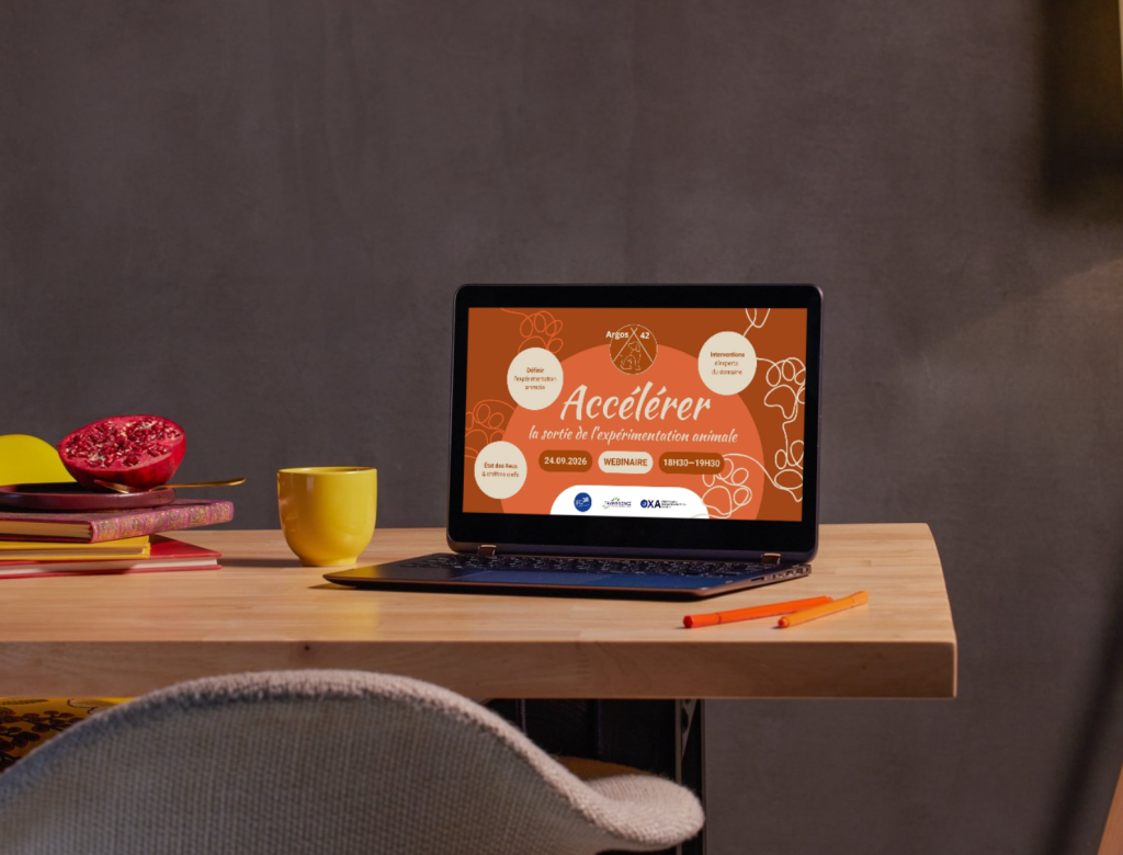 Ordinateur affichant le webinaire ARGOS42 sur les alternatives à l'expérimentation animale
