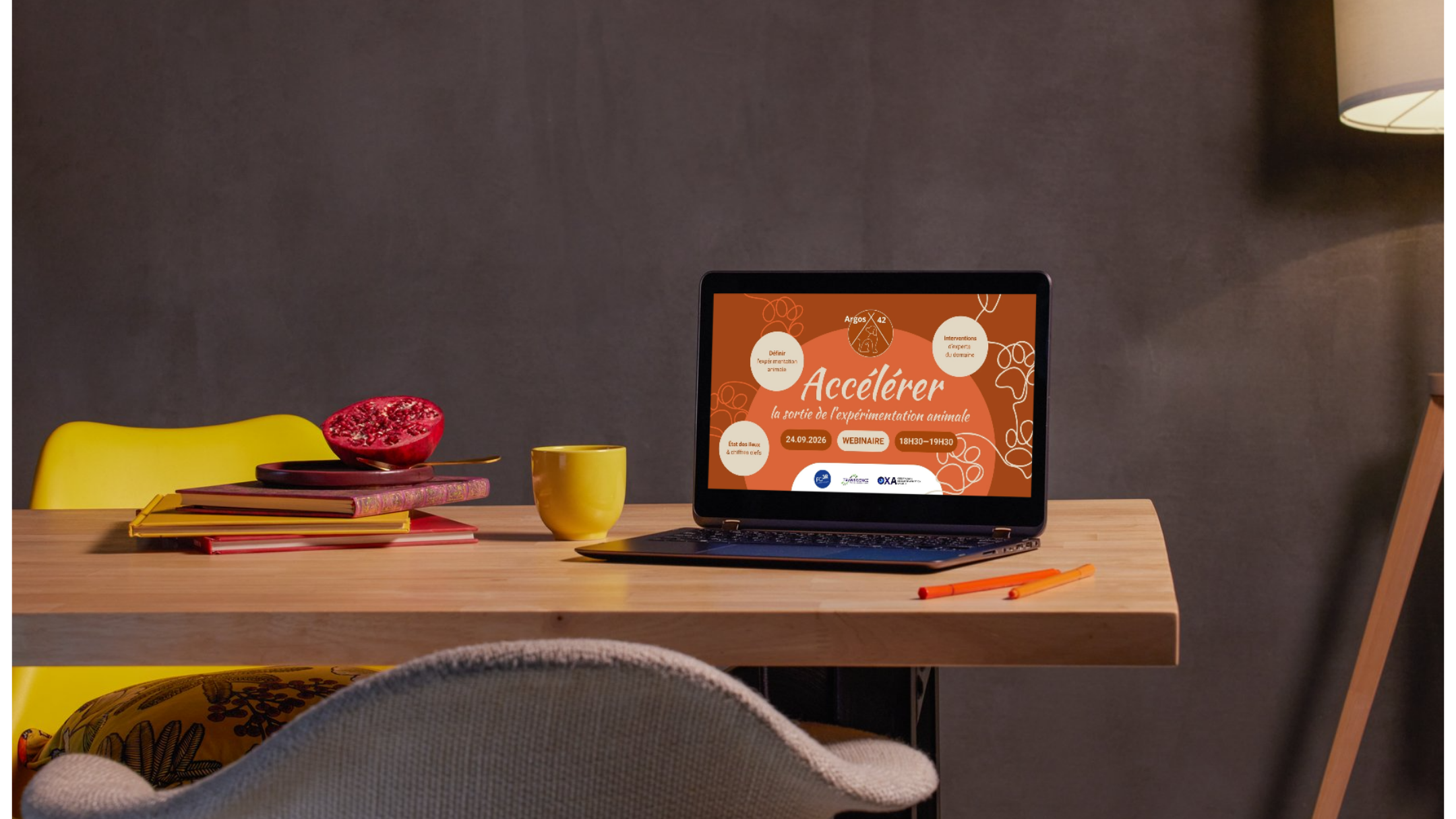 Ordinateur affichant le webinaire ARGOS42 sur les alternatives à l'expérimentation animale