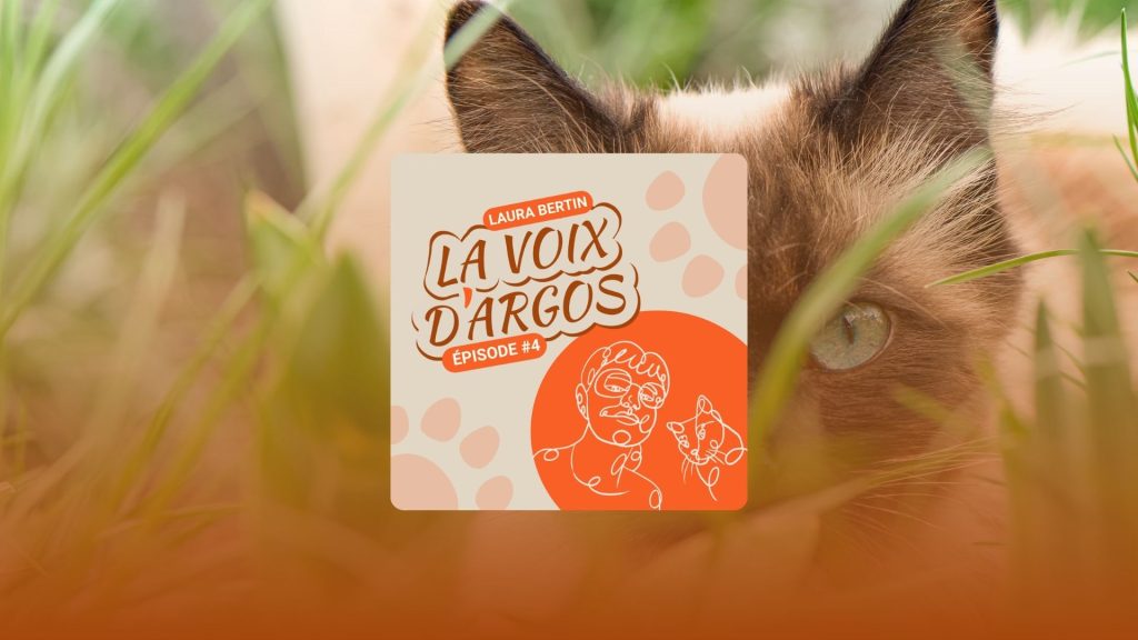 La Voix d'Argos épisode 4 - Invitée Laura Bertin, photo de chat en fond