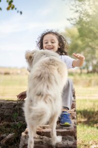 Enfant aux cheveux bouclés assis sur un muret, interagissant avec un chien à poils longs, dans une attitude de respect de l'animal